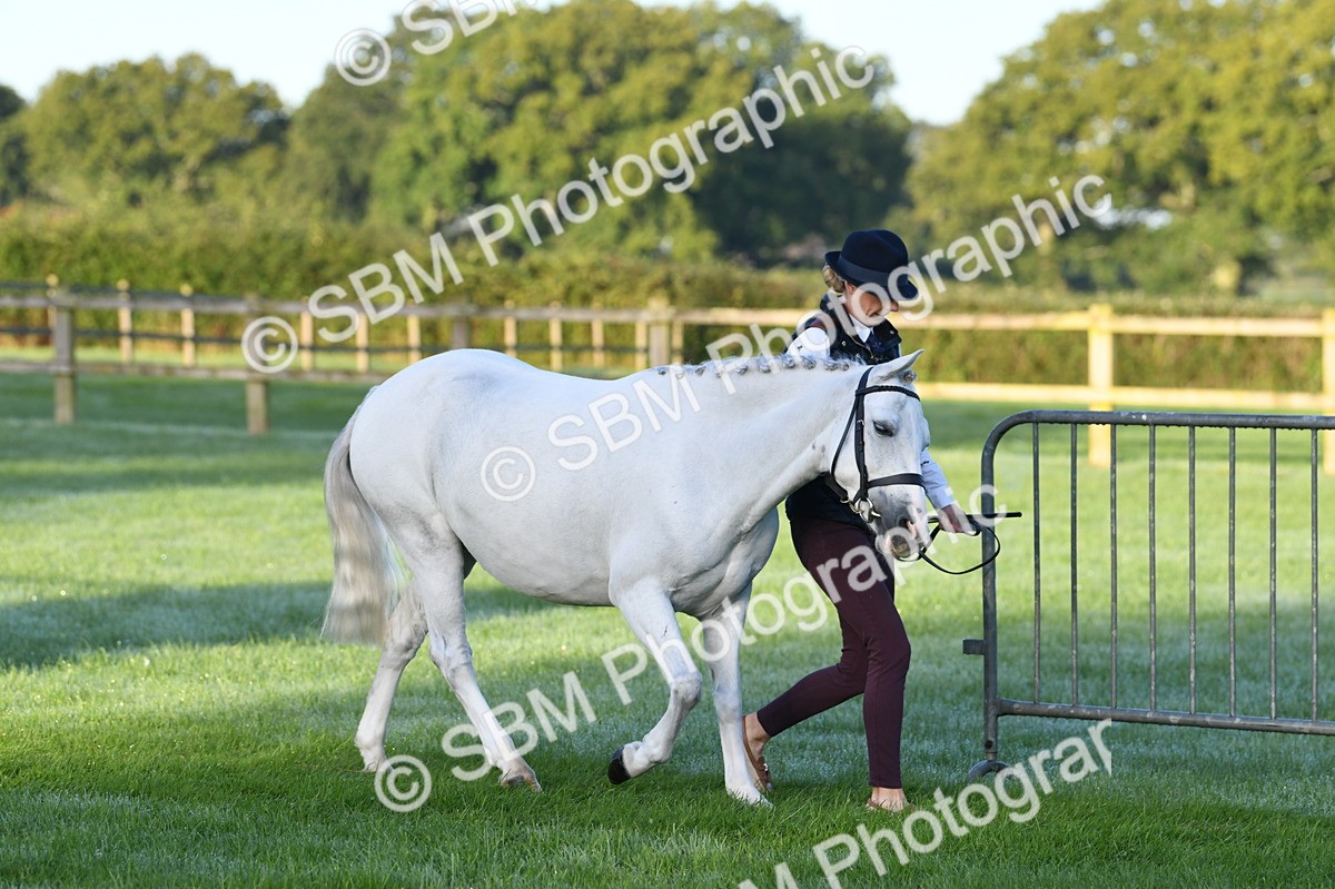 SBM_32470 - S15 - Condition & Turnout In Hand