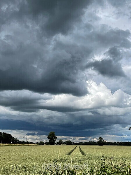 PhotoMynottART082 - Photo Mynott ART Images