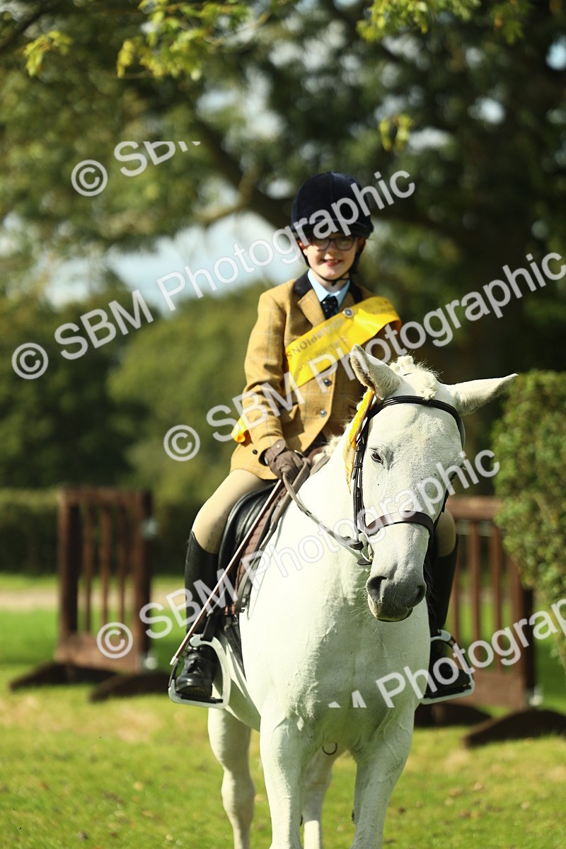 SBM_44999 - Working Hunter Pony Supreme Championship