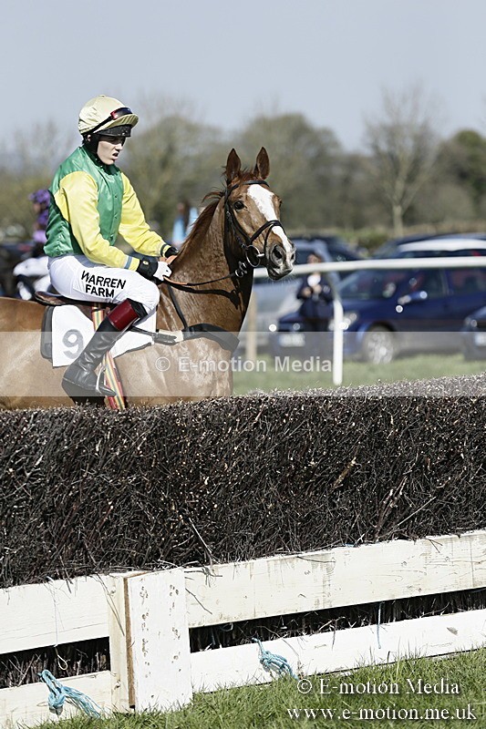 PtP 260317 175 - Mendip Farmers Point-to-Point Ston Easton 26/03/17