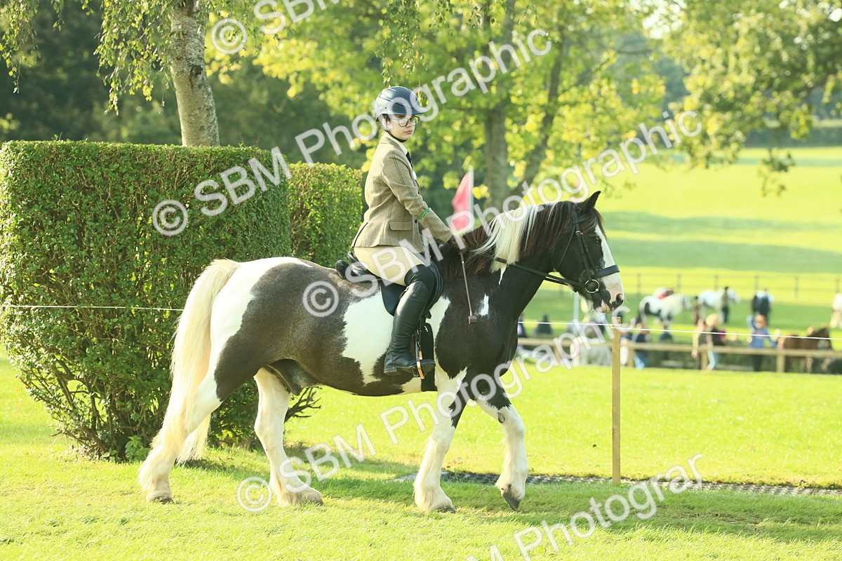 SBM_59290 - S38 - Starters Ridden Showing