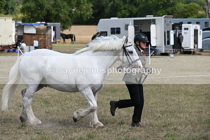 WJ6_6500 - Class 20 In-hand Cob