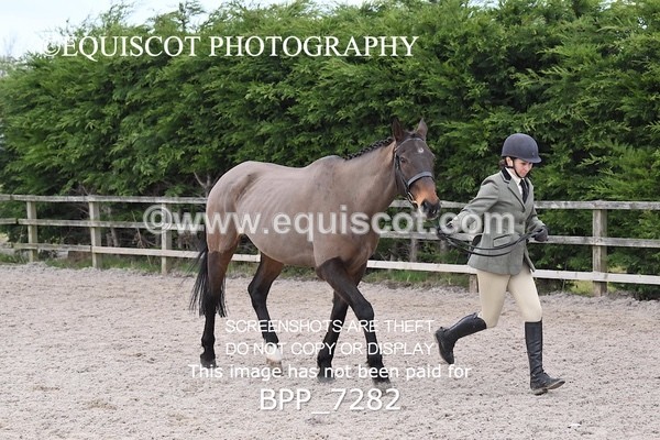 BPP_7282 - RING 1  (RIDDEN HORSES / IN HAND / VETERAN ETC)