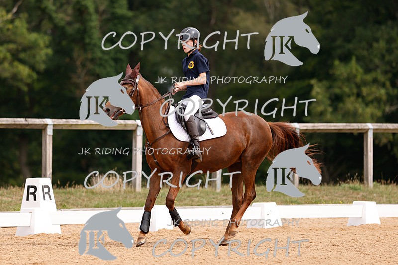_R6A2522 - Dressage Morning