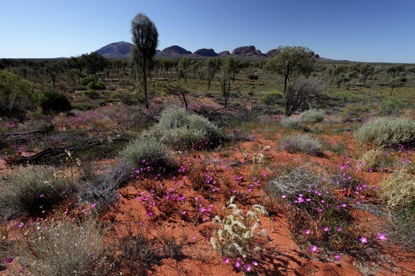  - Australian and American Landscapes