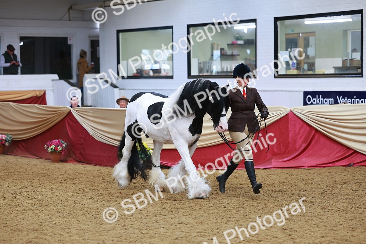SBM_09793 - Class 102 - HOYS Veteran Qualifier - Ridden Veteran