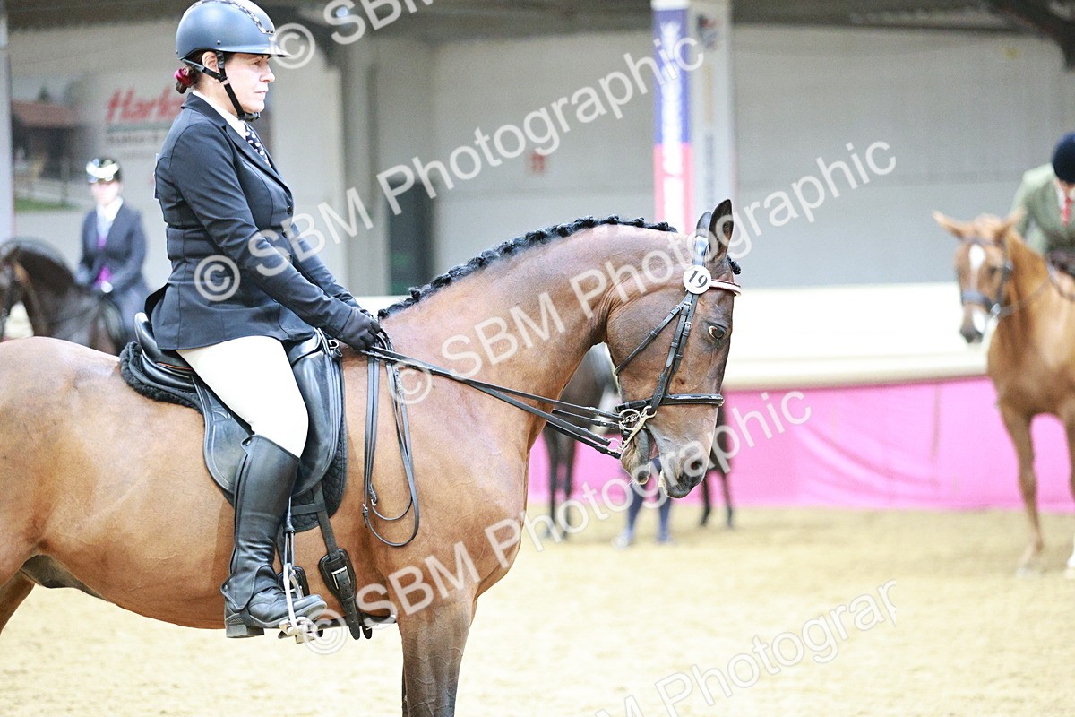 SBM_03410 - Class 6A Area Ridden Pre-Vet