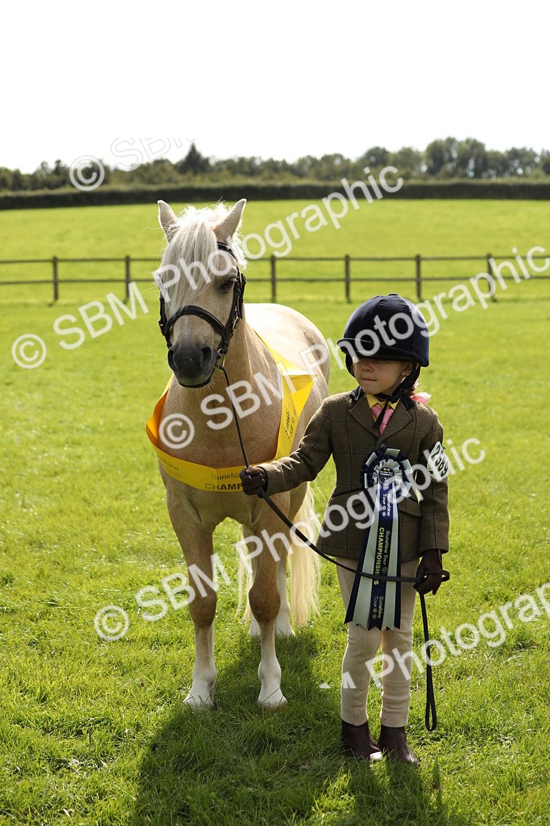 SBM_66384 - In Hand Pony & Youngstock Supreme Championship