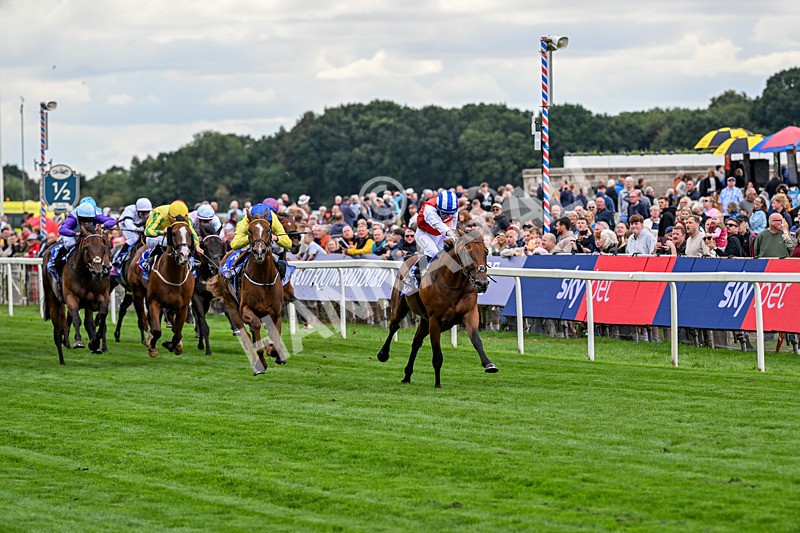 210826-Race 1-Blue Courvoisier-4945 - Race 1 13.50pm Sky Bet Mile Handicap