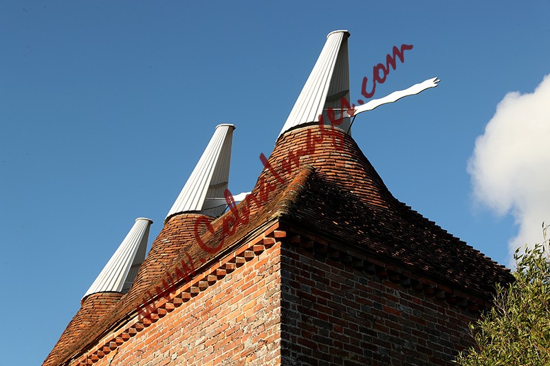 05 - Great Dixter, early November 2020