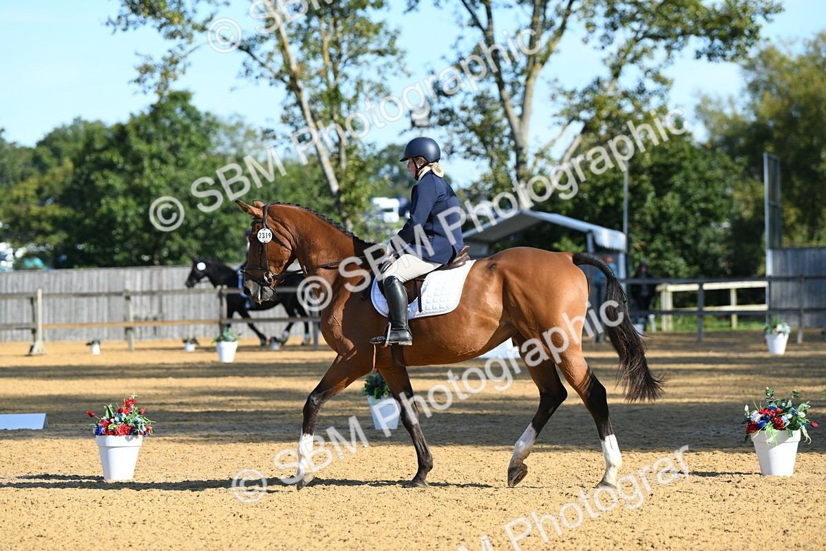 SBM_16230 - D4 - Small Tour Championship - Intro B
