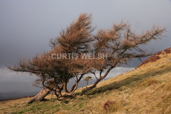 121 - SCOTTISH BORDERS