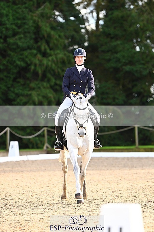 231021-155850-20984 - 262-GOOD.BOY.ALEX-Tara.Jefferies-DR