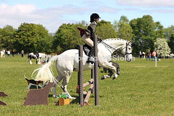 IMG_3516 - Working Hunter