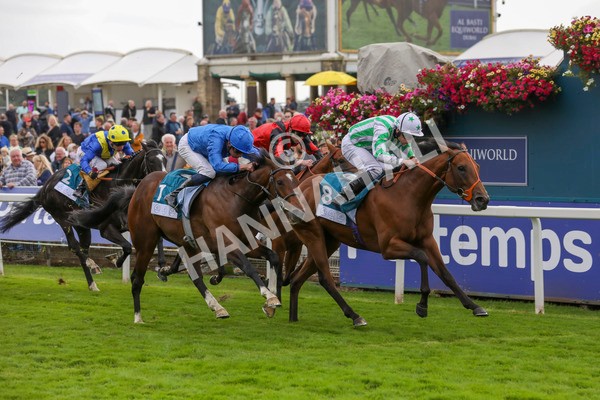 220824-Race 6-Angel Hunter-7866 - Race 6 4.45pm sensory-junction.co.uk Autism Awareness EBF Stallions Nursery Handicap