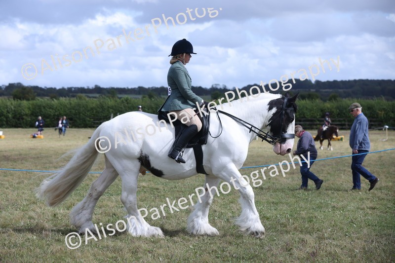 20250831-4182 - Class 20 - Ridden Coloured