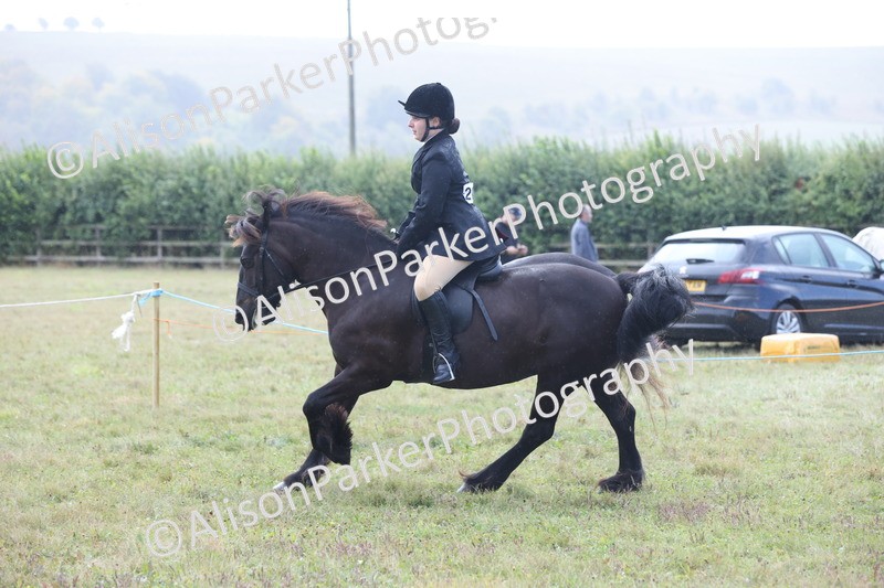 20250831-2429 - Class 16 - Family Pony