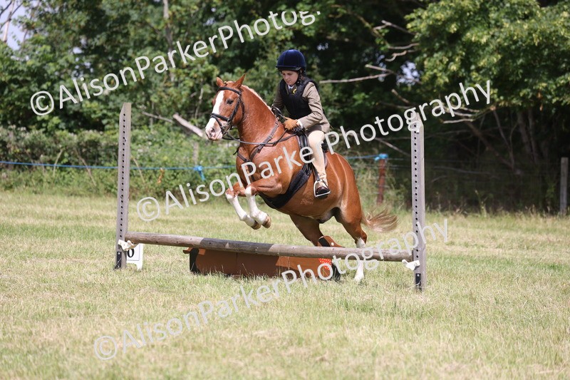 20260614-1931 - Class 21 - Novice Working Hunter Pony