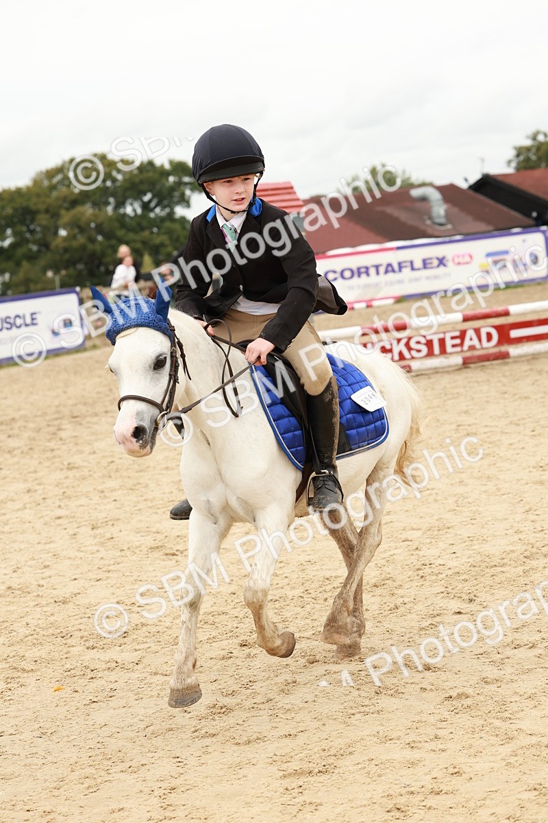 SBM_65245 - Supreme Championship 50cm & 55cm