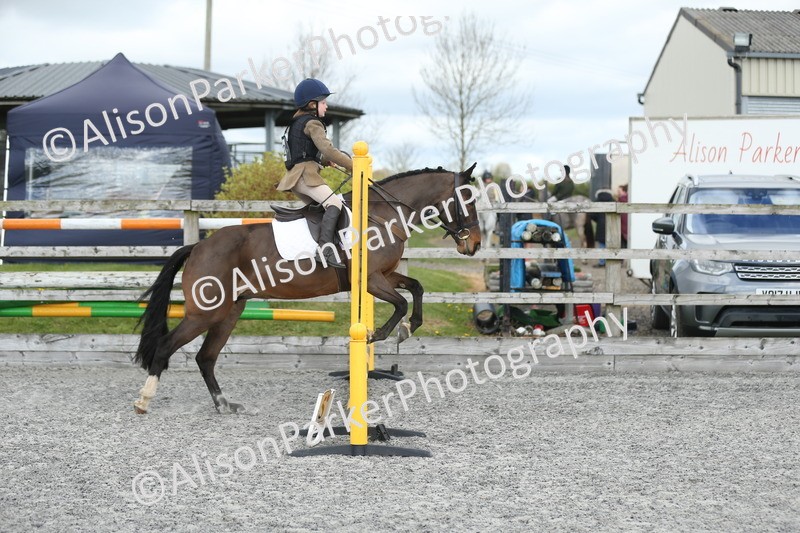 20260412-0741 - Show Jumping