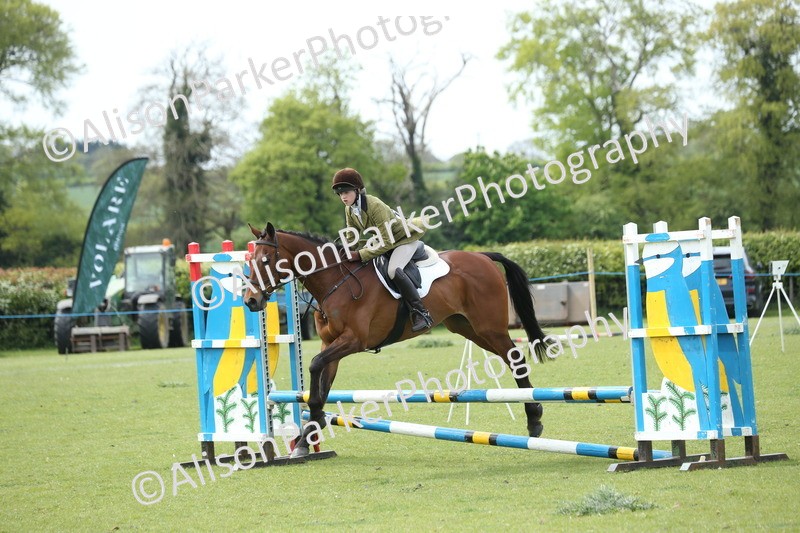 20260426-2079 - Class 15 - Absolute Novice 70cm