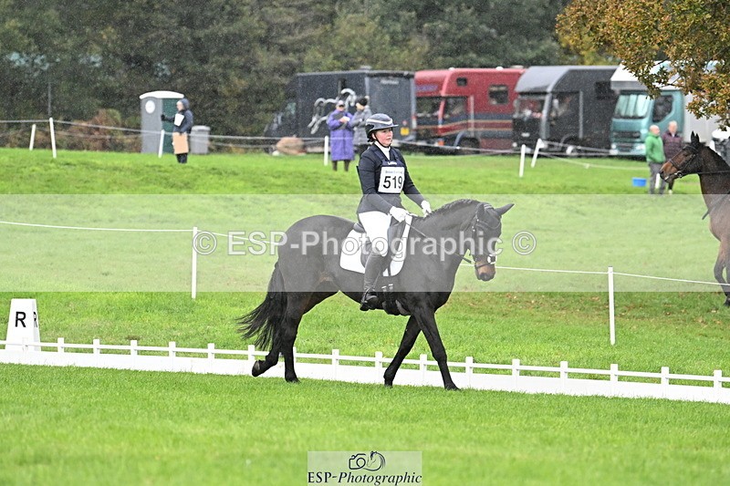 251023A-120803-03790 - G-519-Amy.Miller