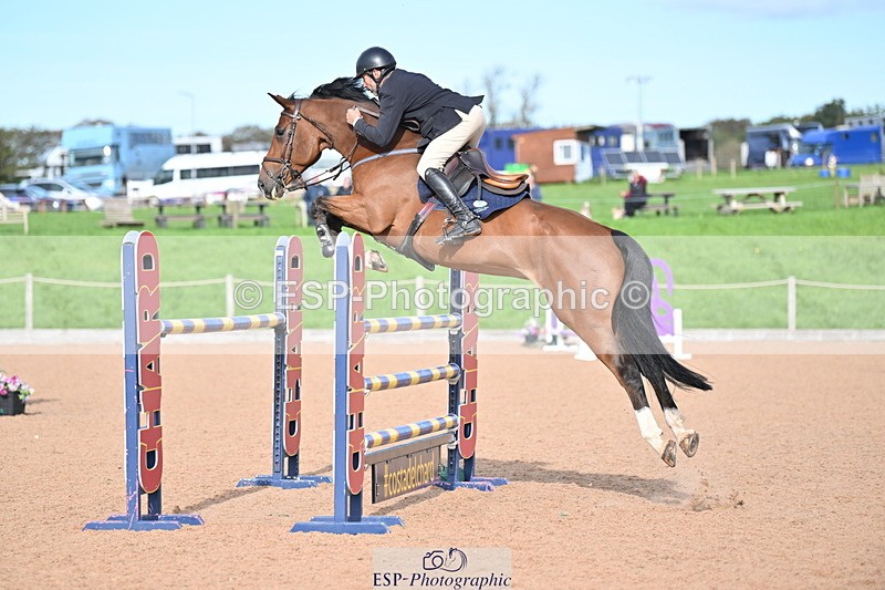 231015A-142310-08563 - Cls 31 Blue Chip Grade B & C Champ Quali