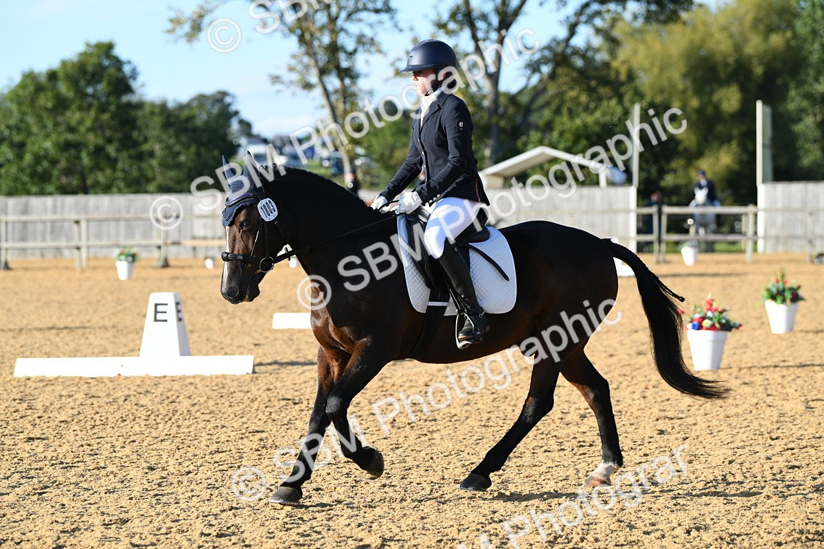 SBM_30794 - D16 - Small Tour Championship - Novice 28