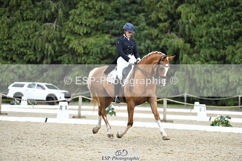 230812-143948-04752 - Cls 7 FEI PSG Bronze