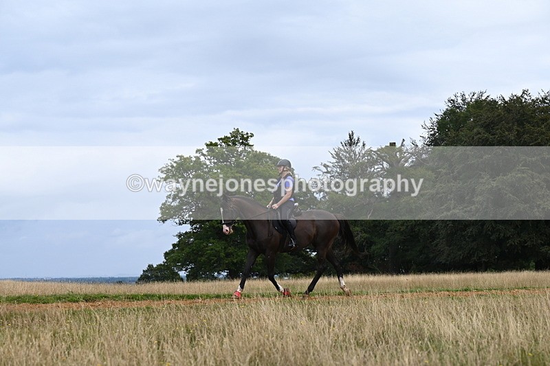 DSC_6207 - Time at Statue 12:17 to 12:44
