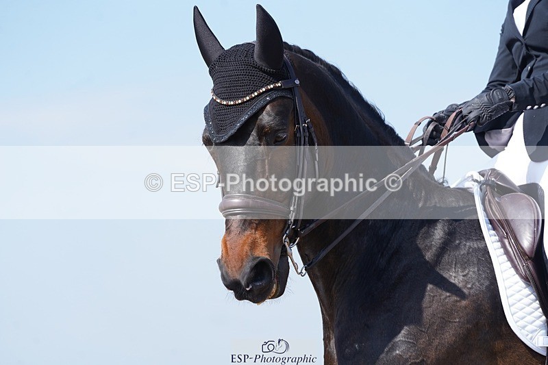 250403-123358-01921 - 046-Emily.Ormerod-FLS.Samphire