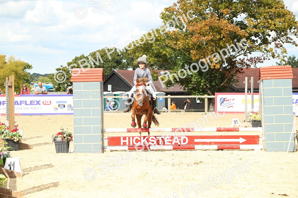 SBM_41334 - J6 - Junior Pony 55cm Championships