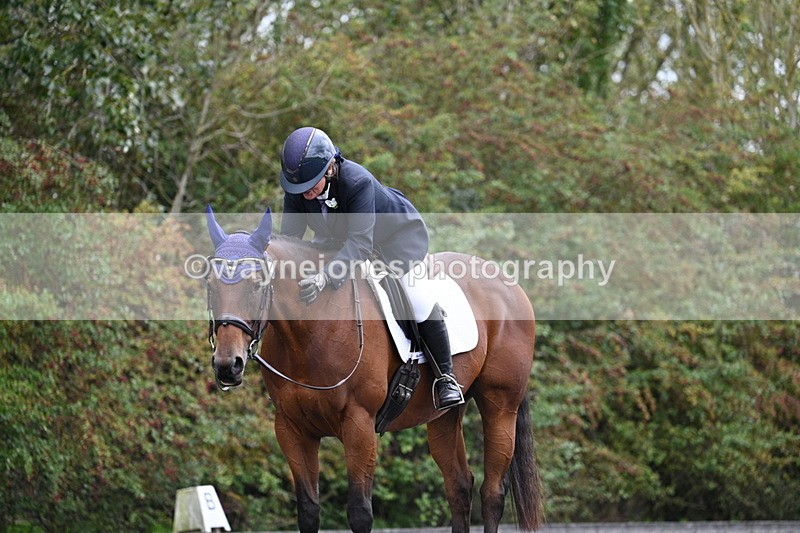 WJ7_6508 - Time 14:49 to 15:14