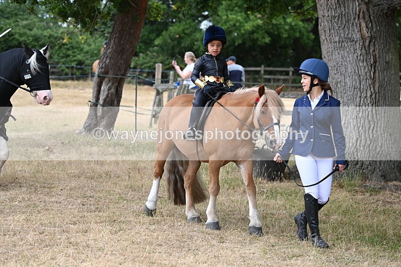 WJ6_8887 - Class 11 Fancy Dress