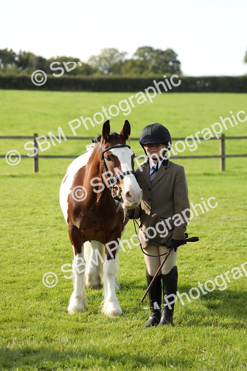 SBM_60982 - S43 - Coloured Pony In Hand