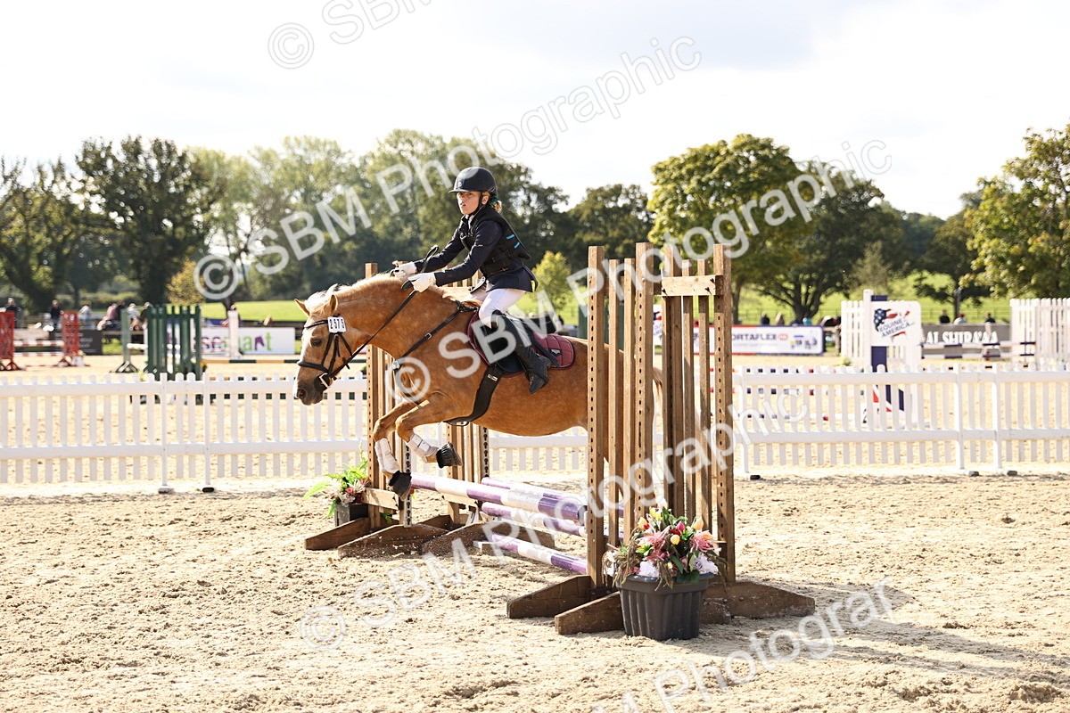 SBM_62080 - J12 - Junior Pony 55cm Championship