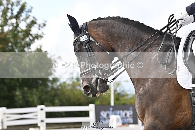 250907-155812-10348 - 110-Chelsea.DonovanFrankie.zenturio