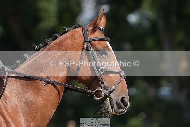 250823A-132155-31006 - Arena B