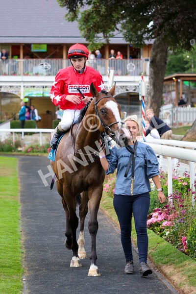 yr22072022r6-32 - Race 6 7.50pm Gallop Racing Stakes