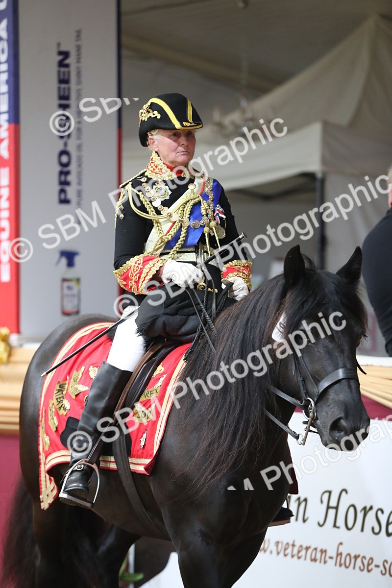 SBM_11958 - Class 106 Ridden Costume- Astride Adult (15-19)