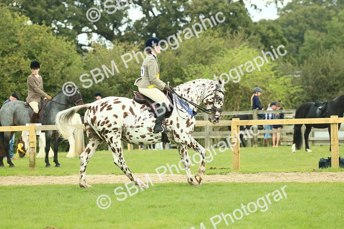 SBM_62560 - S62 - Foreign Breeds Ridden