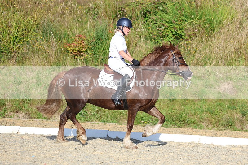 3E7A3667 - Class 2: Intro 1 2024 Section B