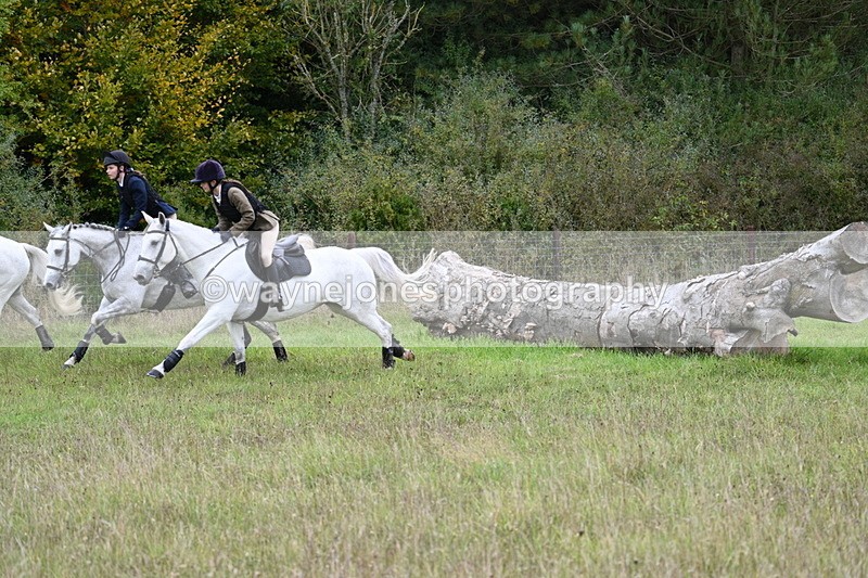 WJ7_3833 - Camera 1 Line 1