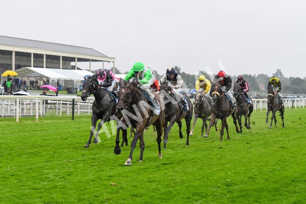 140723-Race 7-Gibside-0728 - Race 7 5.30pm William Hill Extra Place Races Daily Apprentice Handicap