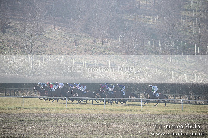 PtP 230219 35 - Vine & Craven Point-To-Point - Barbury 23/02/19