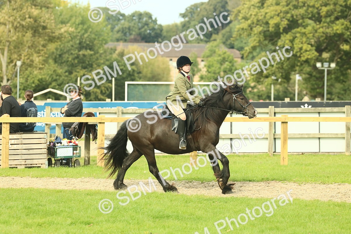 SBM_69354 - S58 - Mini Show Cob Ridden