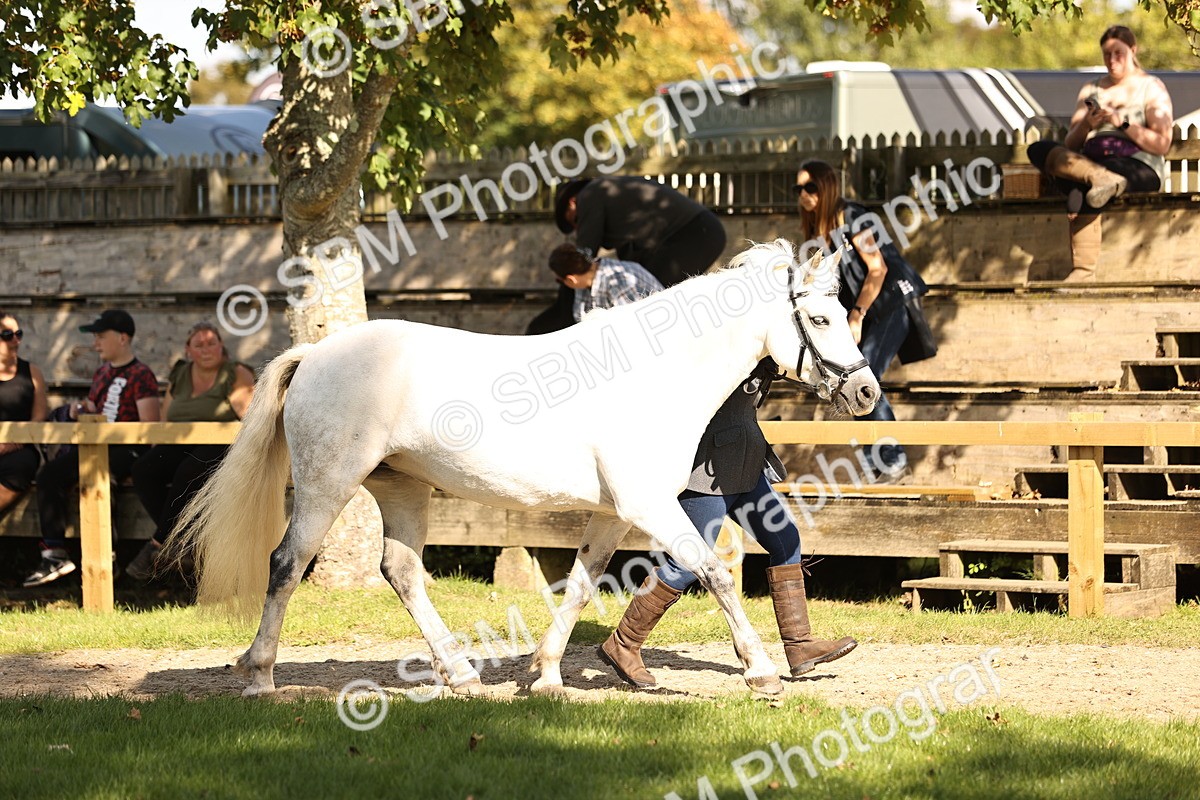 SBM_26133 - S5 - Novice & Newcomers In Hand