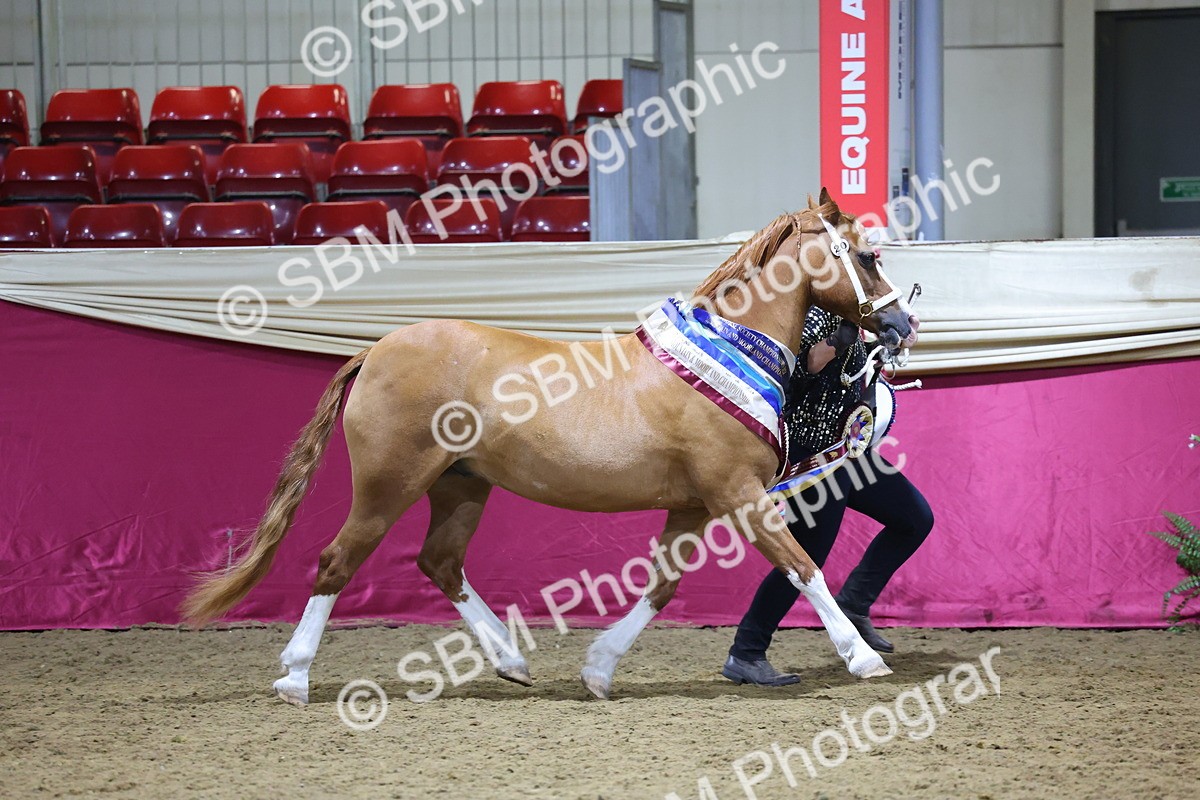 0B8A4432 - Class N M&M Champ