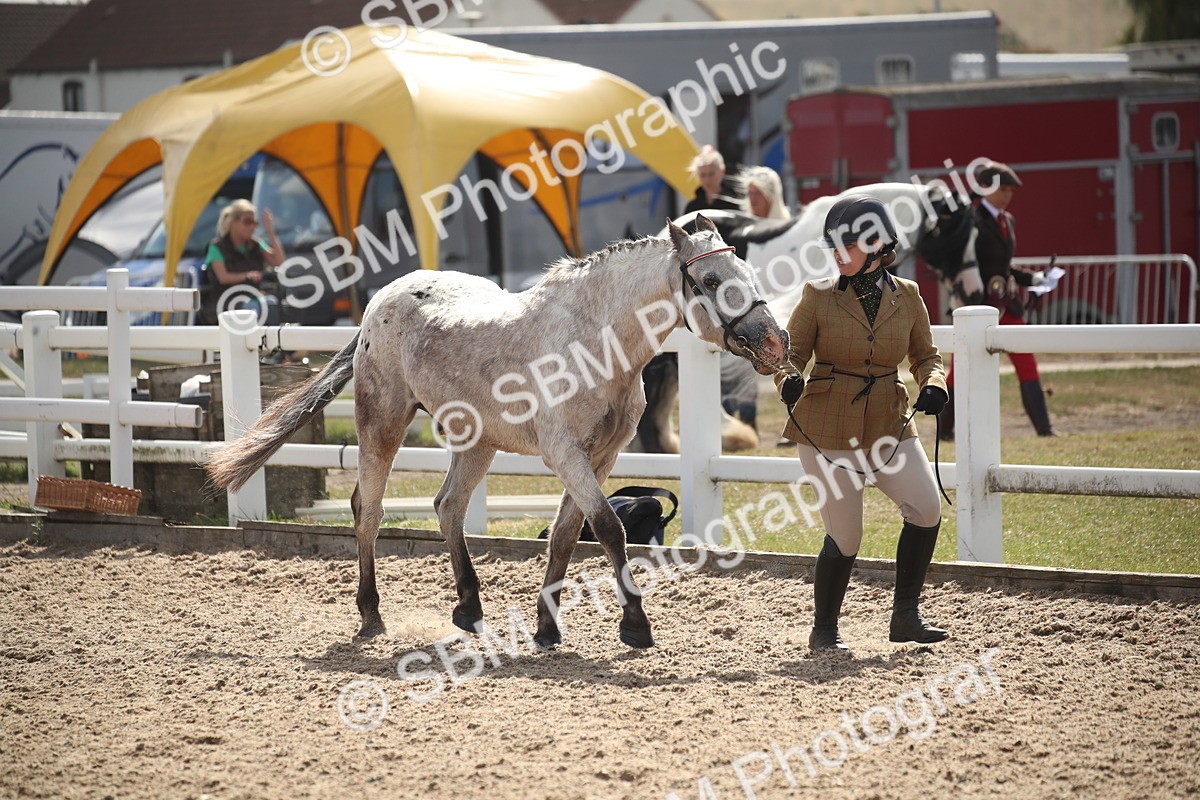 SBM_23393 - Class 604 - 2026 - Area IH Diamond