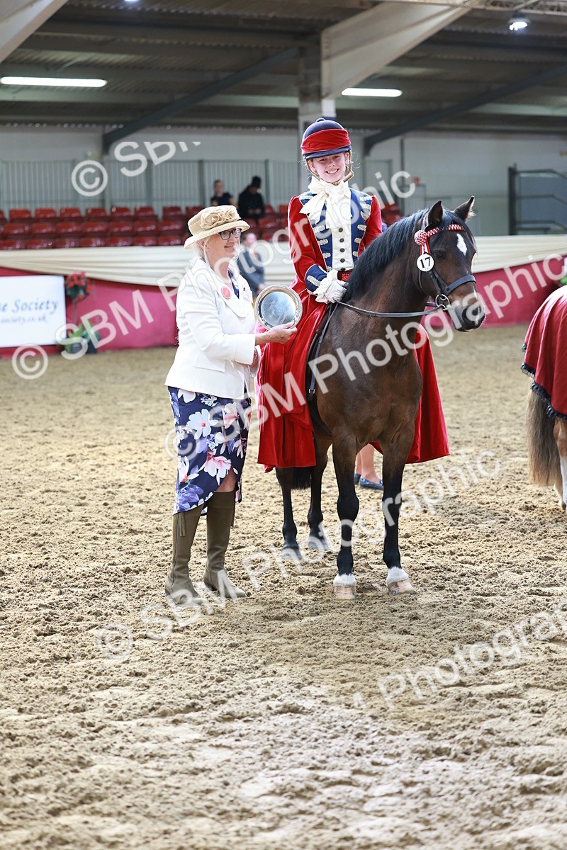 SBM_13490 - Class 104 - Ridden Costume - Astride Junior